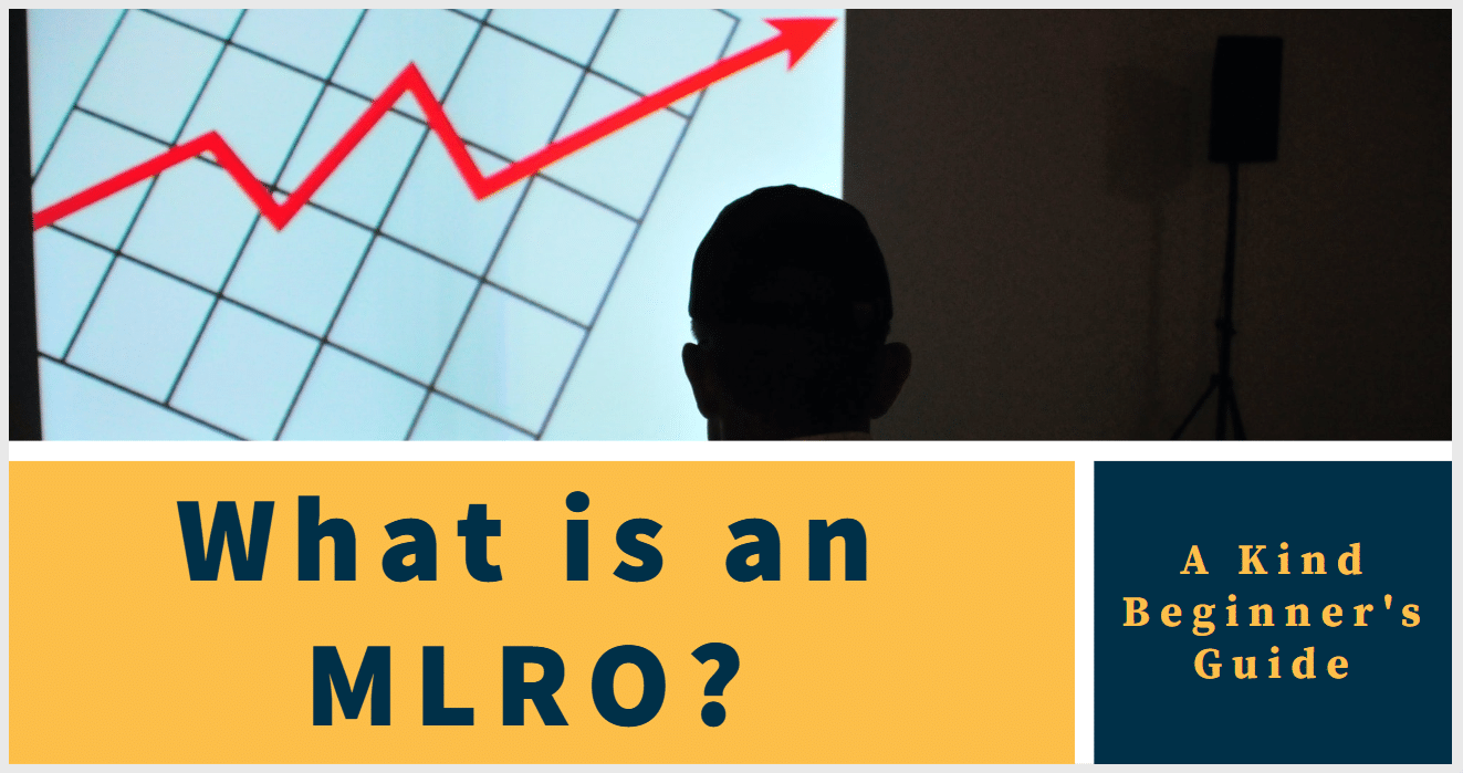 What is an MLRO